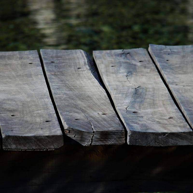 fotogallerie
